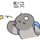 더 클래식 양산 이미지