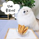 반려견 수제 간식 만들기 | 반려견 애견 수제간식 만들기 강아지 닭가슴살 건조 후기