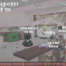 헬리오동물병원 이미지