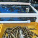 하이비치 펜션 이미지