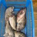 선재낚시터 이미지