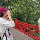 호안안경 이미지