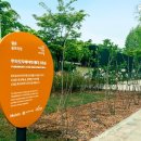 만드는숲