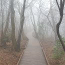 혼디오몽