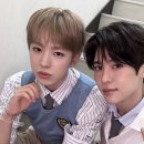 시온 이미지