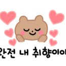 인사이드비(B)