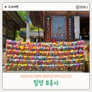 휴정서원 | 경남 사찰 밀양 표충사 빼어난 산세와 사명대사 사당이 있는 곳