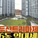 아이엠공인중개사사무소 이미지