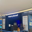 아쿠아 | 7개월 아기랑 광교 아쿠아플라넷 다녀온 후기