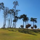 해림골프 이미지