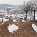 정유선생묘 이미지