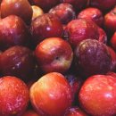 현내농장 이미지