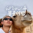 평원약국 | 몽골여행 고비사막 투어 | 게르 캠프와 낙타 트래킹, 그리고 광야에서 화장실가는 방법