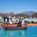 해바라기 태권도 이미지