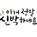 의성격투기 이미지