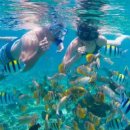 윈오락실 이미지