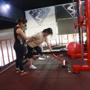 짐에스(GYM-S)