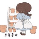 아이디카페데코