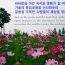 스포코리아 이미지