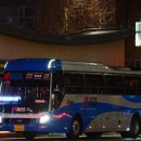 수정화물 이미지