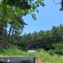 팔금농장 이미지