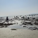 동호정비 이미지