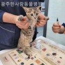한사랑동물병원 이미지
