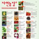 청호할인마트 이미지
