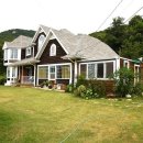 바다가 그리운 나무 이미지