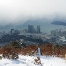 동아대태권도 이미지