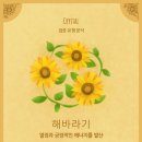 브레드파파 이미지