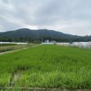 리버타운모텔 이미지