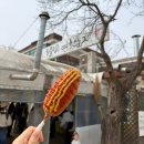메아리자연농장 | [양평 먹거리] 두물머리 연핫도그 🌭 또 생각나는 맛 .ᐟ.ᐟ
