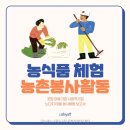 포항노다지마을 | [농식품 체험] 포항 노다지 마을 봉사활동