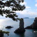 제주포도 이미지