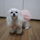 리쌀롱 이미지