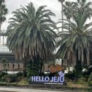 제주촌놈본점 이미지