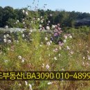 LBA토지공인중개사사무소 이미지