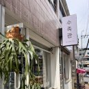 젊은열대어 | <광주>수족관 세러데이아쿠아 어항/수초/열대어 솔직후기