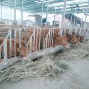 소선농장 이미지