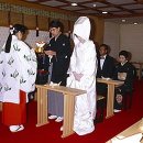 일본국제결혼 - 한인 국제결혼 정보회사 '민들레' 이미지