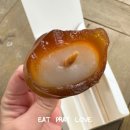 당고네 이미지