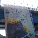 영산포 홍어축제(09.04.12) 이미지
