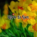 믿음