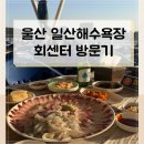 일산해수욕장 | 바다 앞에서 먹는 회, 울산 일산해수욕장 회센터 리얼후기