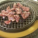 신마포갈매기신제주점 이미지