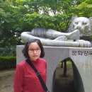 2020년 가을, 윤동주문학관-공원 인왕산 호랑이 동상 이미지
