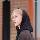 루딕 이미지