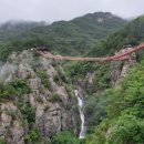 거창 항노화 힐링랜드 자연휴양림 이미지