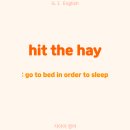 The Hit 이미지